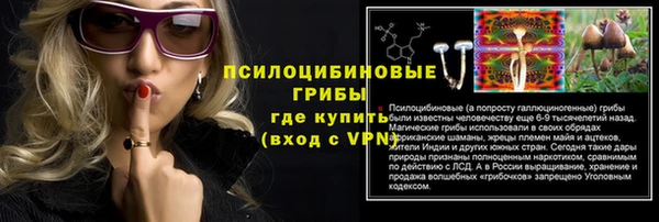 тгк Ивантеевка