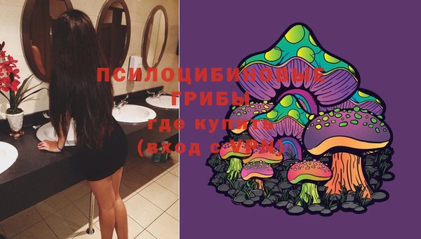 прущая мука Заречный