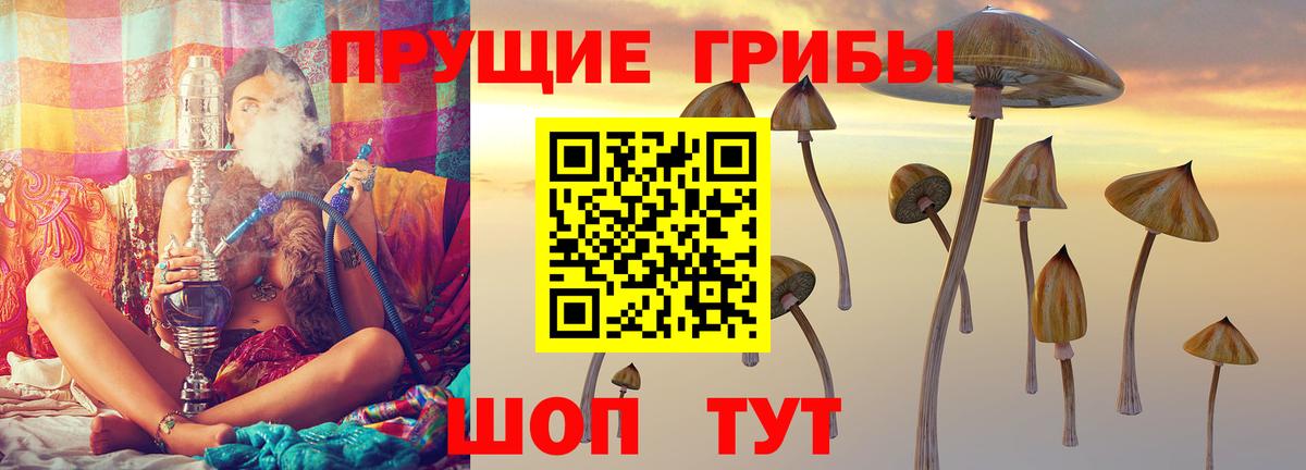 Псилоцибиновые грибы Cubensis  Вход с VPN  Красноярск 